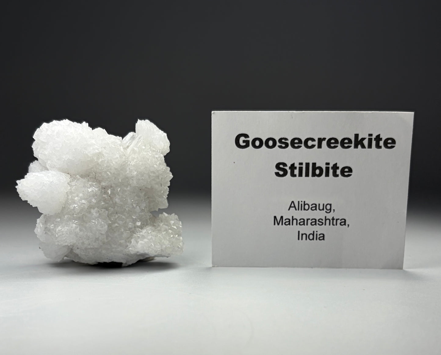 Goosecreekite