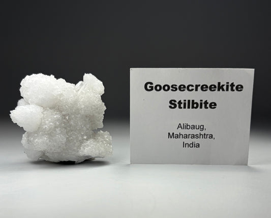 Goosecreekite