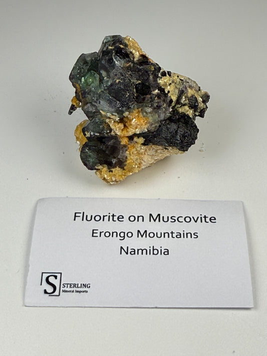 Fluorite on Muscovite