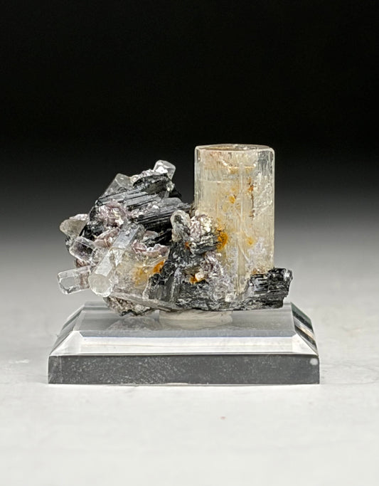 Goshenite on Black Tourmaline