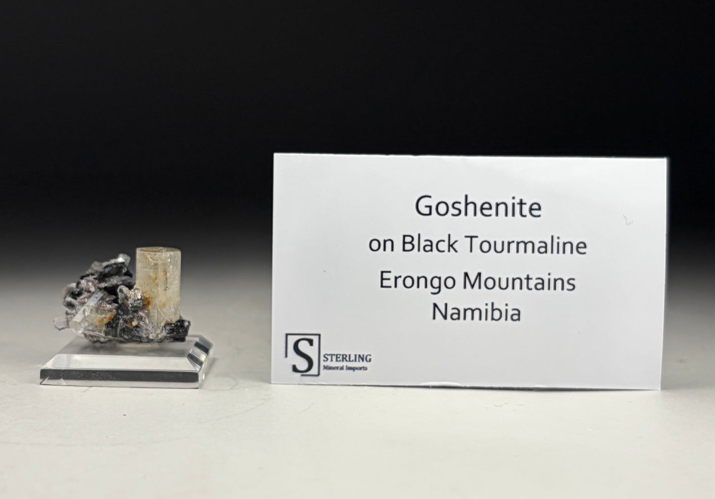 Goshenite on Black Tourmaline