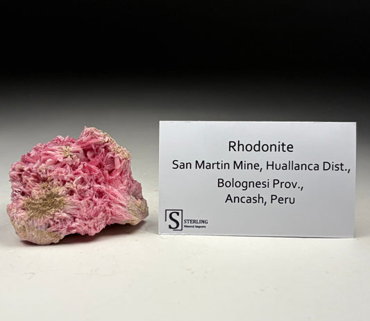 Rhodonite