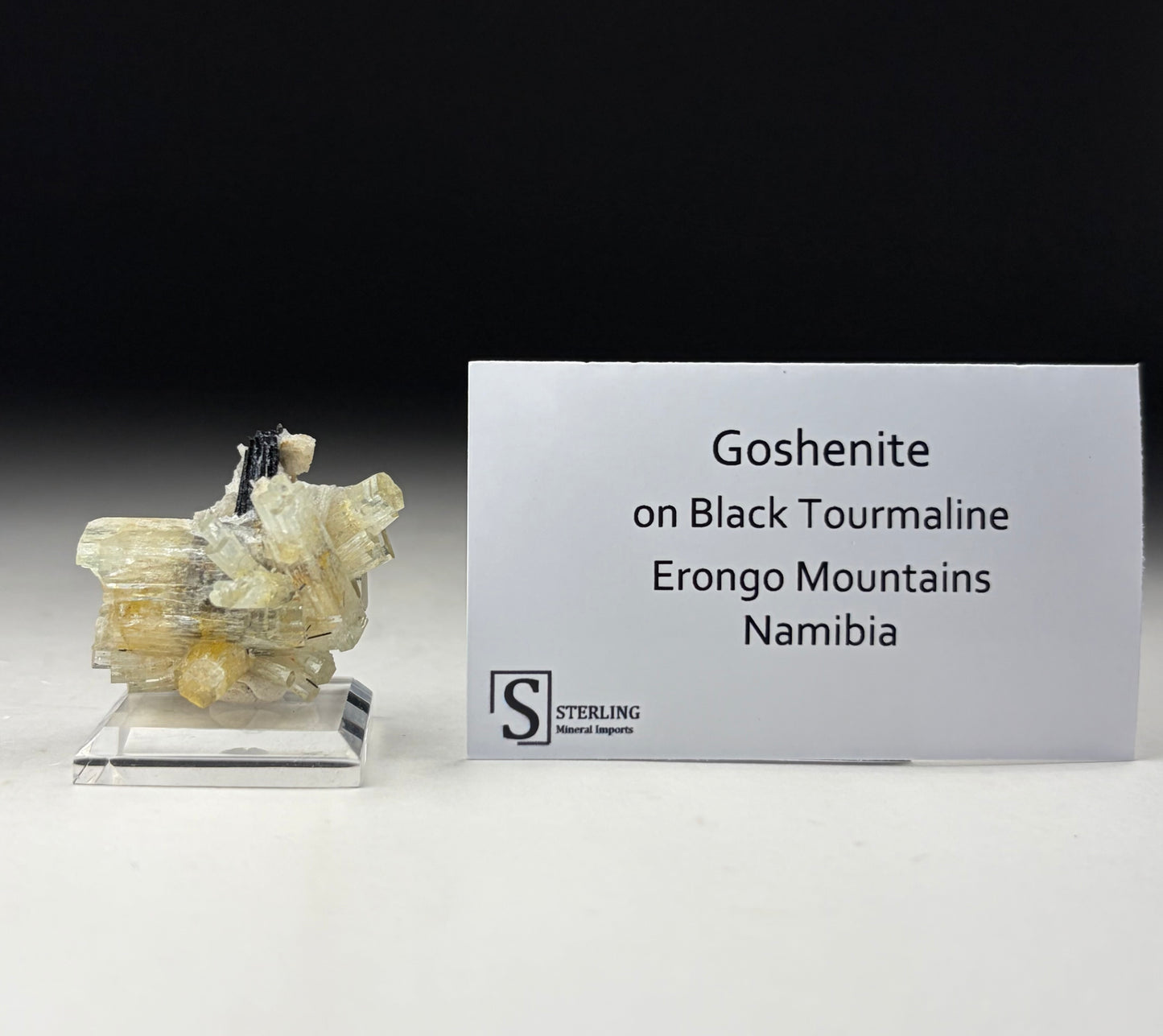 Goshenite on Black Tourmaline