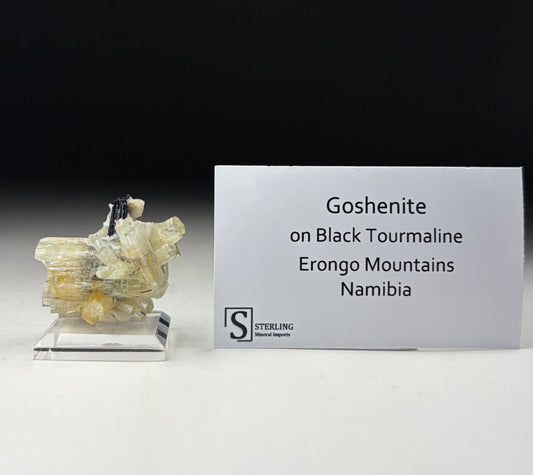 Goshenite on Black Tourmaline