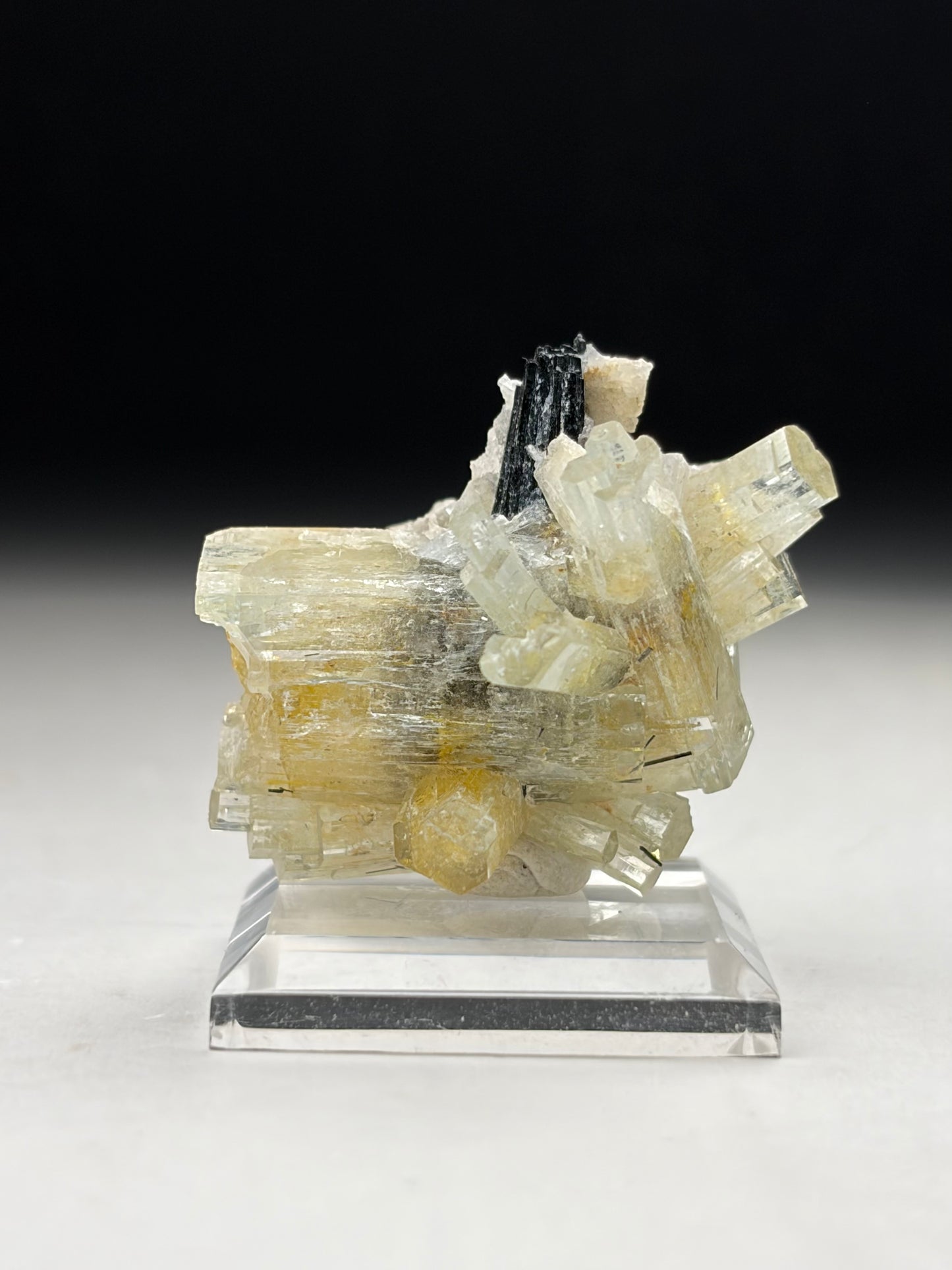 Goshenite on Black Tourmaline