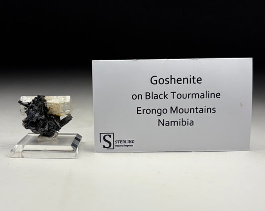 Goshenite on Black Tourmaline