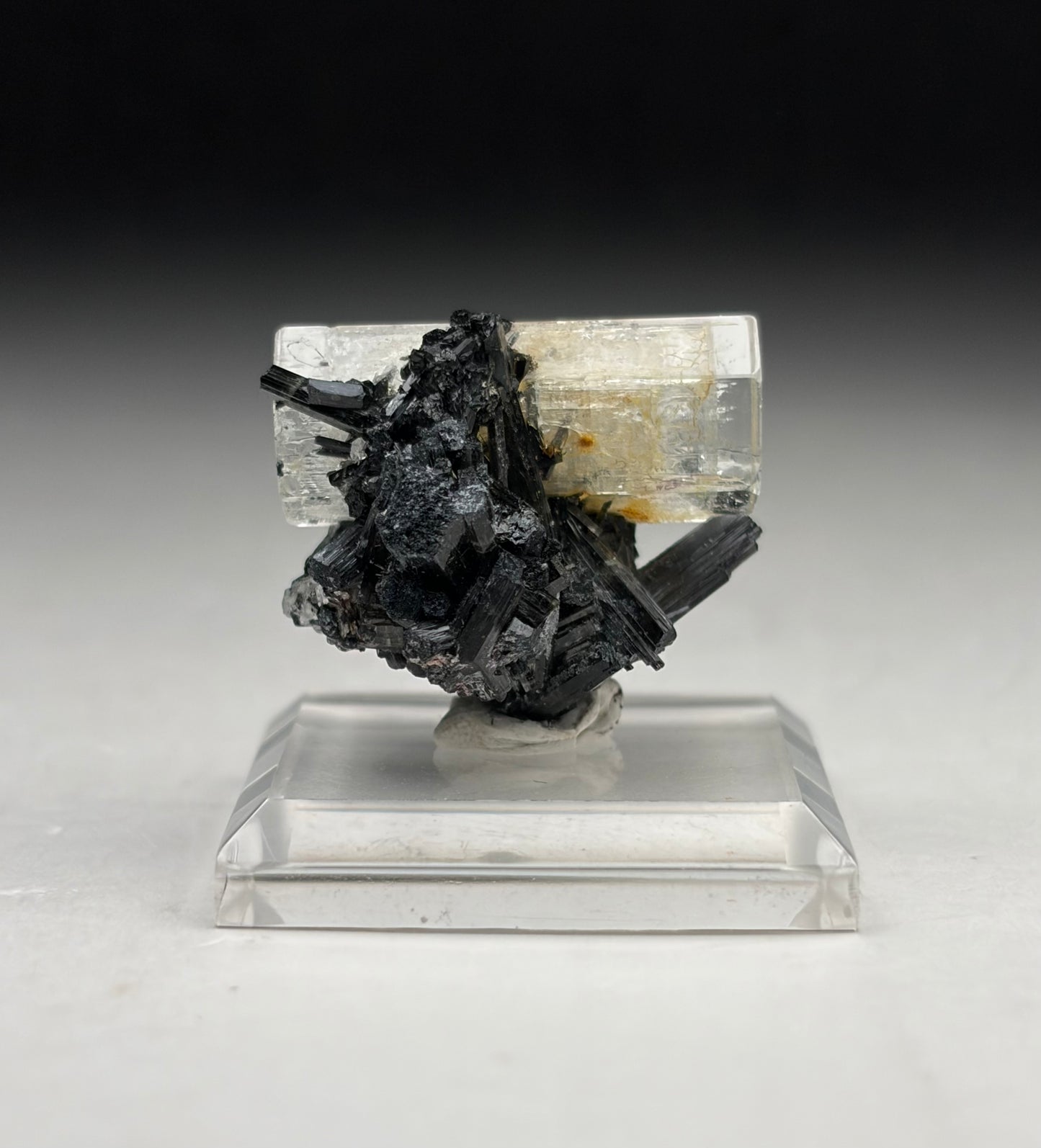 Goshenite on Black Tourmaline