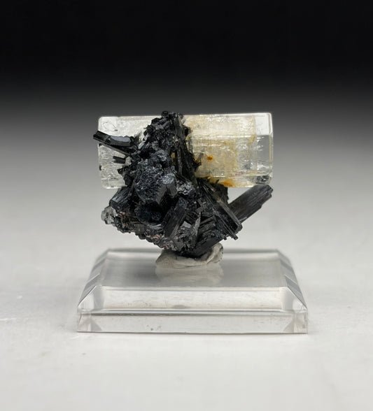 Goshenite on Black Tourmaline