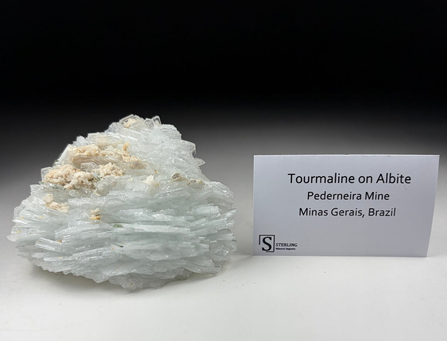 Tourmaline on Albite