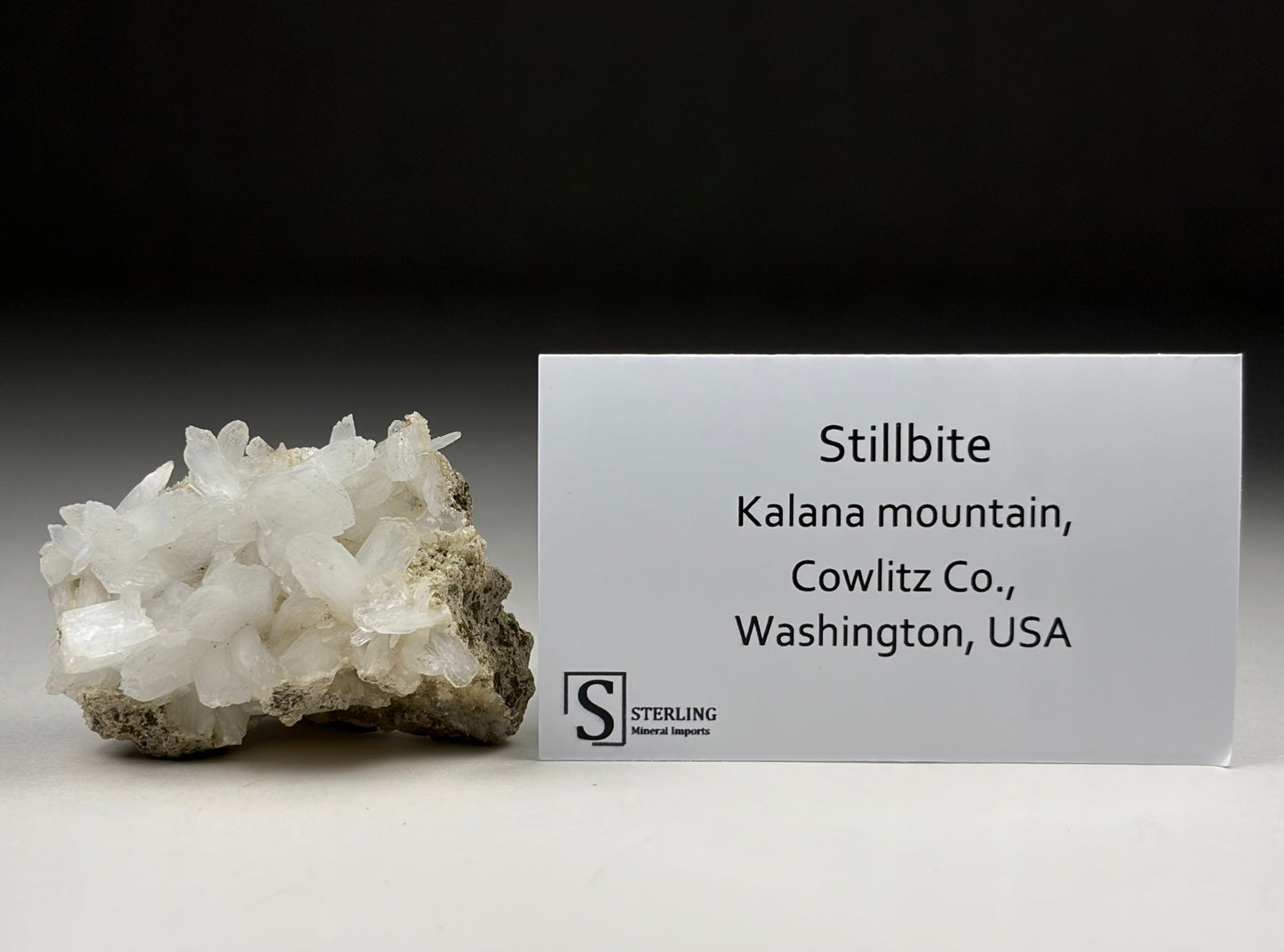 Stillbite