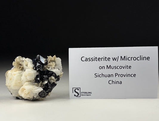 Cassiterite w/ Microcline on Muscovite