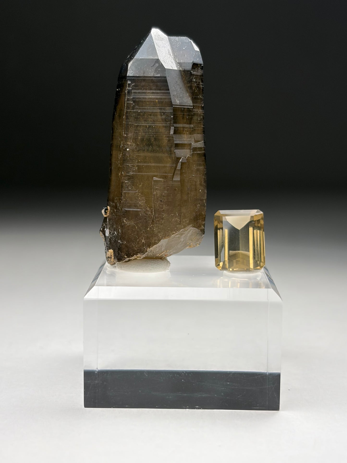 Smoky Quartz (Cut & Rough)