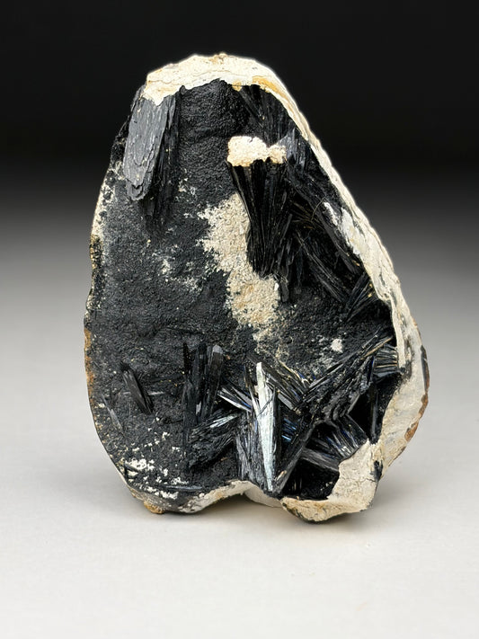 Vivianite in Clam