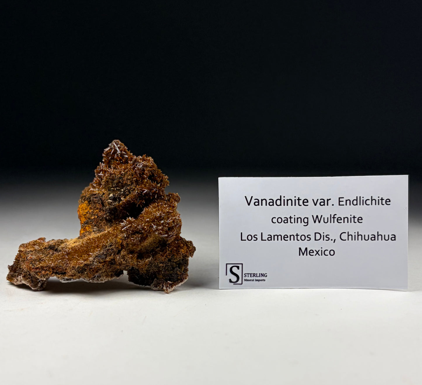 Vanadinite var. Endlichite coating Wulfenite