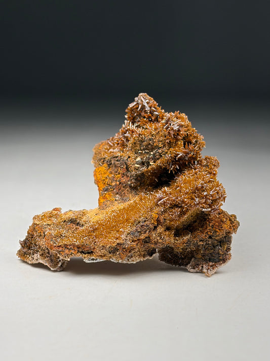 Vanadinite var. Endlichite coating Wulfenite
