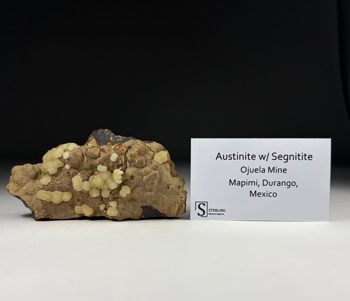 Austinite w/ Segnitite