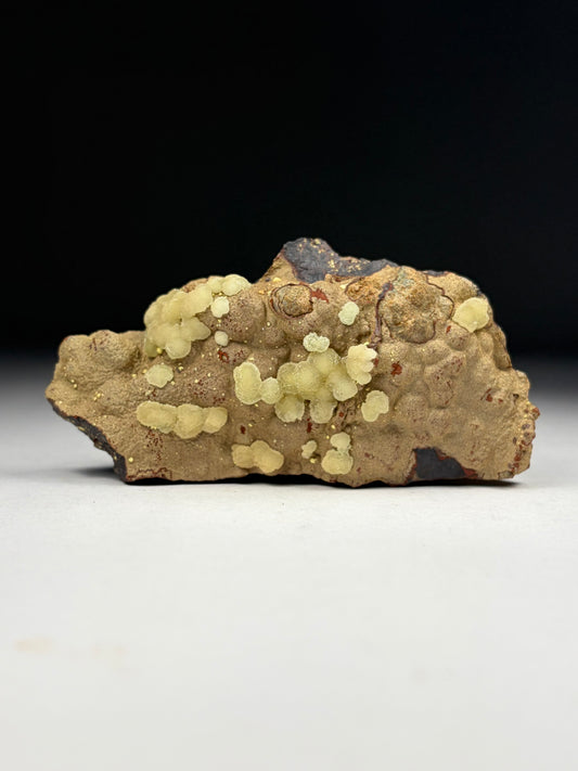 Austinite w/ Segnitite