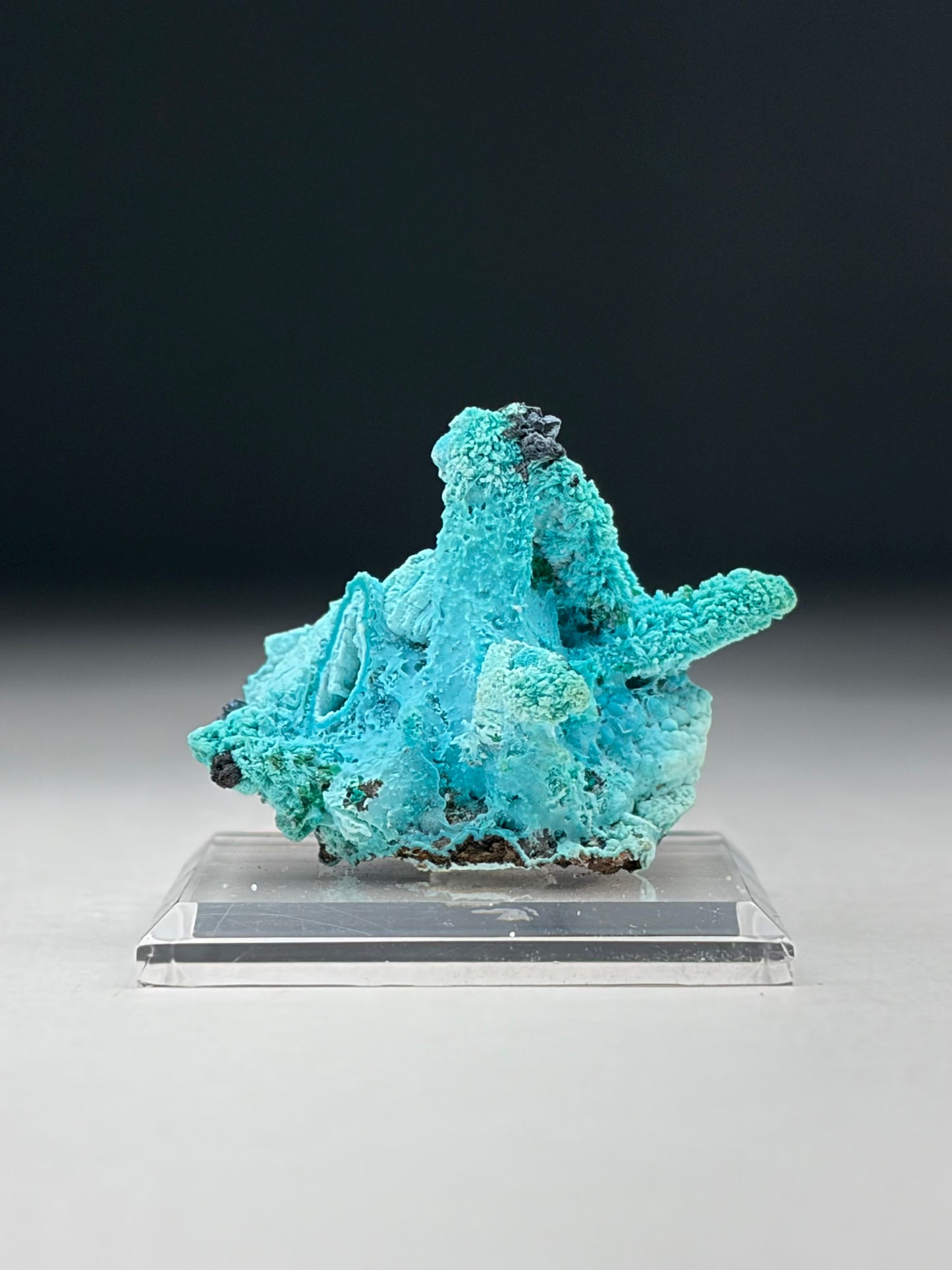 Chrysocolla ps. after Malachite ps. after Azurite