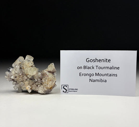 Goshenite on Black Tourmaline