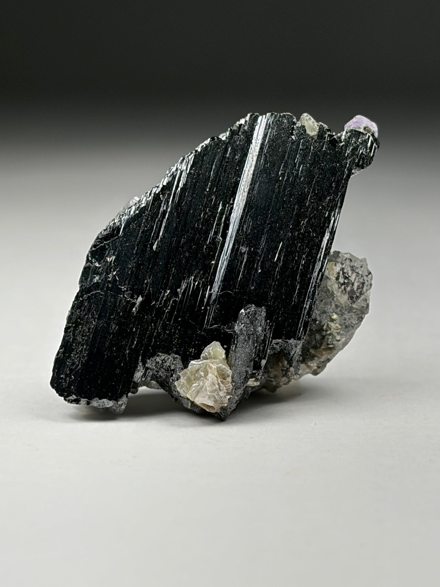 Wolframite w/ Quartz,Muscovite,Arsenopyrite,Chalcopyrite and Fluorite