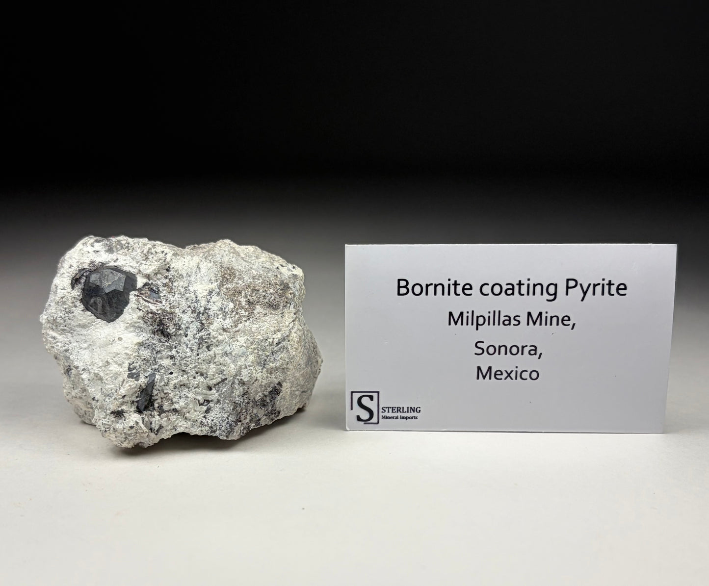 Bornite coating Pyrite