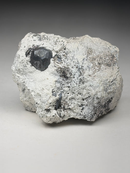 Bornite coating Pyrite