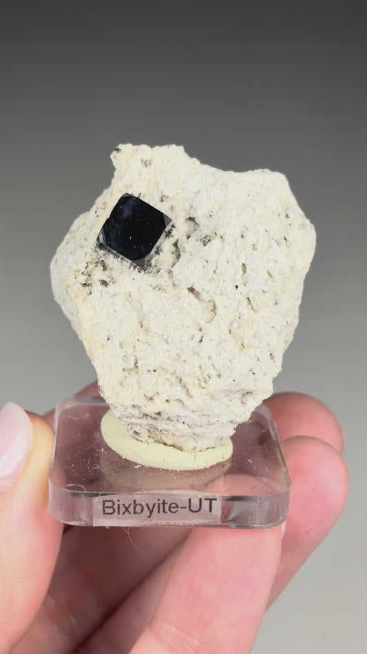 Bixbyite on Phyolite